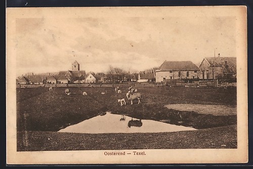 Carte postale texel - postale, pâques
