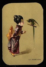 La perruche - Jeune femme