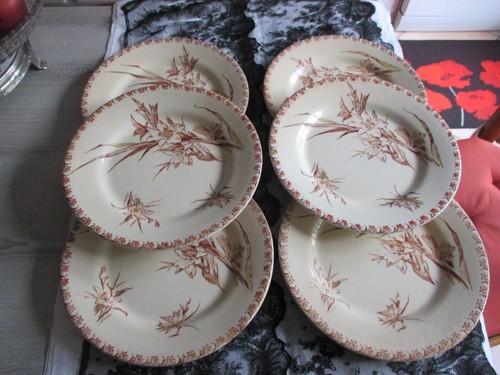 Anciennes assiettes plates - anciennes,