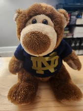 Notre Dame Fighting Irish