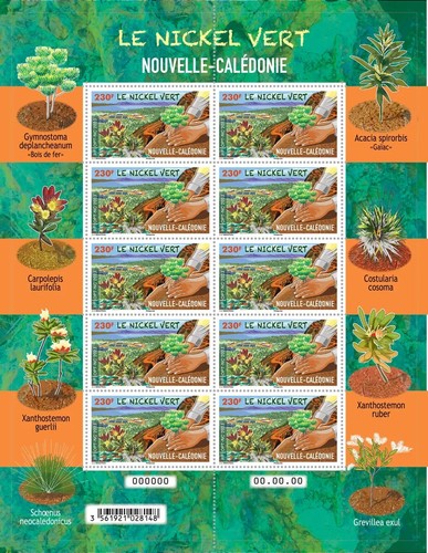 Caledonia 2023 caledonie green - 2023,