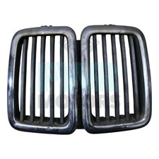 BMW E28 525e 525i Kidney Radiator Grill Grill Kidney 1873253