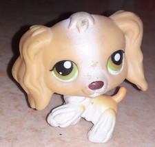 Petshop chien epagneul 79 bis