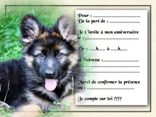 Cartes invitation - 12,