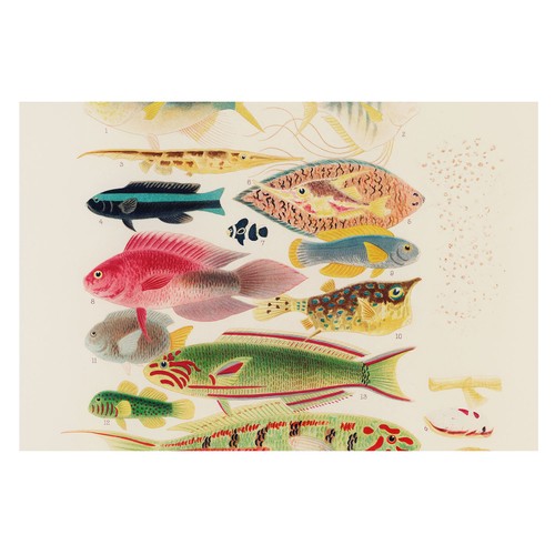 Peinture murale papier - murale,