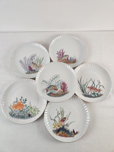 Assiettes plates vergie - assiettes,