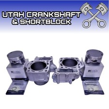 1.0mm Kawasaki KFX700 Prairie