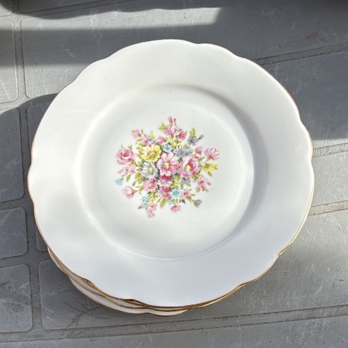 Veritable porcelaine assiette - veritable,