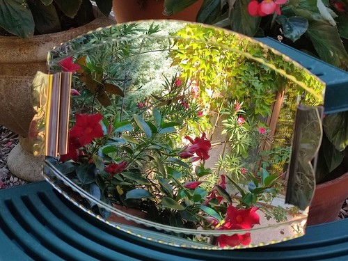 Ancien plateau miroir - plateau,