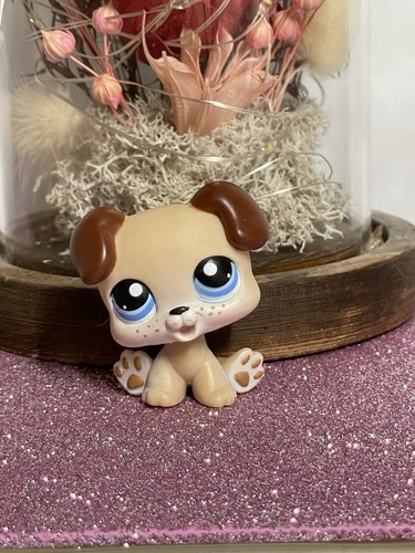 Petshop chien boxer chiot - 🌸petshop,