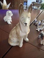 Chien Faïence Berger Pelage