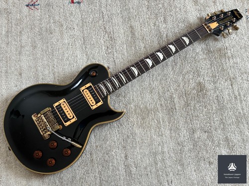 Guitare électrique aria - aria, pro