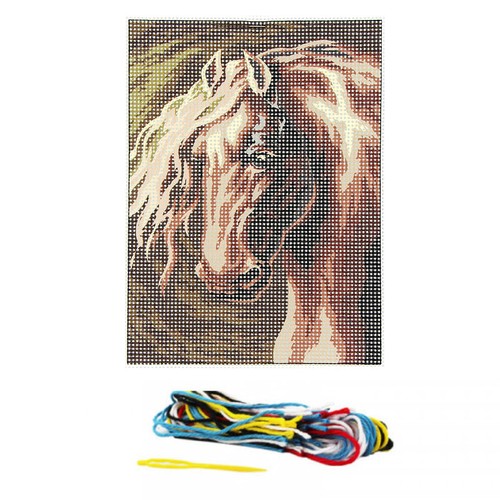 Kit complet canevas - x, 20