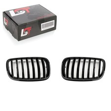 Grille De Radiateur Nieren