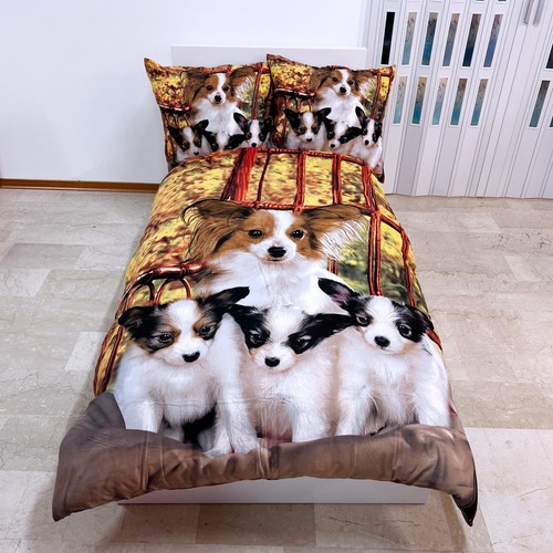 Chien papillon set 2pezzi - chien,
