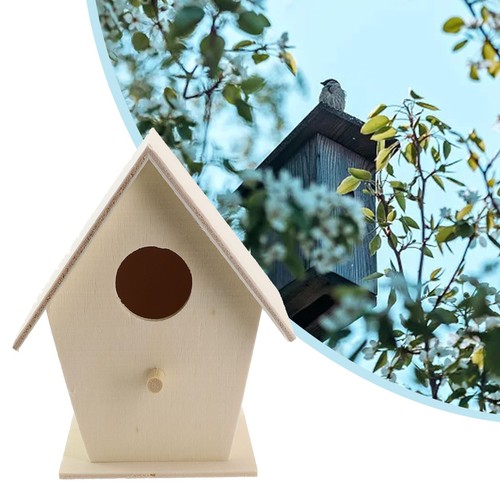 Maison oiseau kits bois - maison,