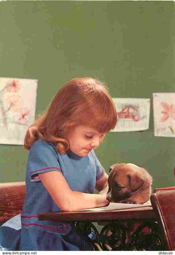 Carte postale animaux - animaux,