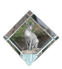 Sphynx dé de cristal avec un