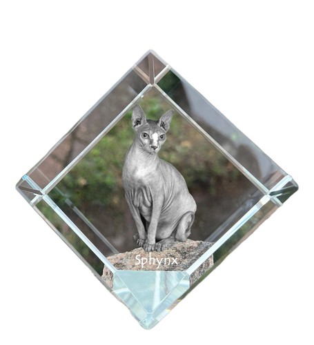 Sphynx dé cristal avec un - sphynx,