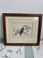 Ancien Cadre Bois Avec Dessin