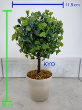 Petit Arbre buis rond Hauteur