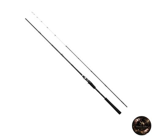Canne pêche mer shimano - à, en