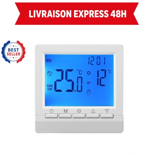 Thermostat programmable