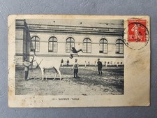 Old postcard / postcard - SAUMUR - Voltige (49)