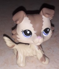 Petshop chien colley 2210