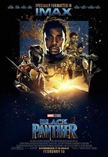 2018 Black Panther Movie