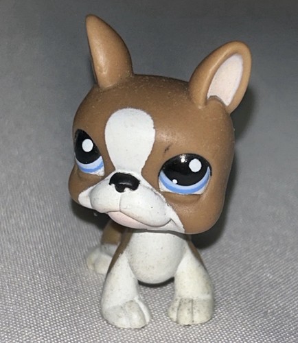 Hasbro lps original - ,