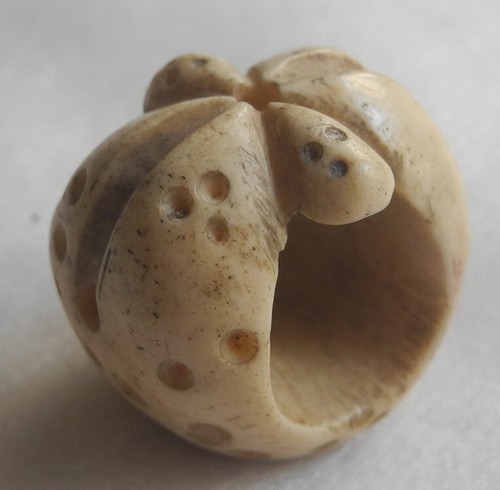 Ancienne citrouille japonaise