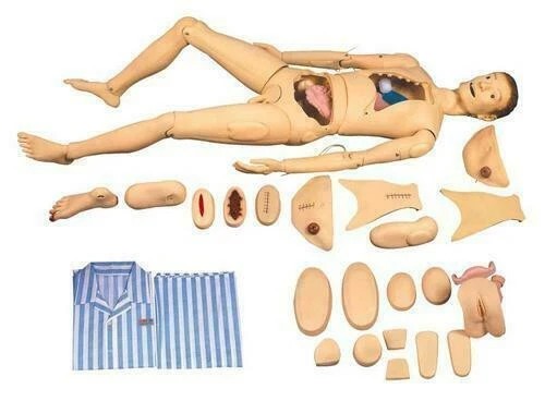 Mannequin réaliste pour - , tout