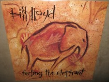 BILL LLOYD Feeling The