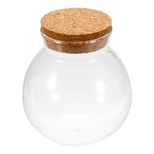 Globe Terrarium Planter 4 Inch Glass with Cork Cap for Succulent