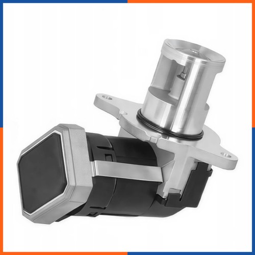 Vanne egr pour - pour, |