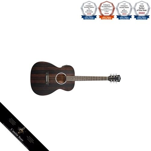 Guitare acoustique électrique - guitare, acoustique-électrique