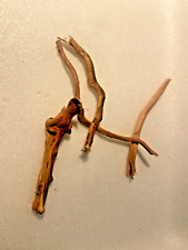 4 racines araignée 5/10cm  mangrove spider root souche bois decor aquarium 1117