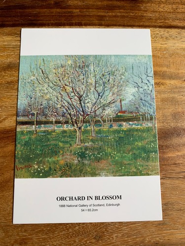 Carte postale 14x10 vincent - 14x10,