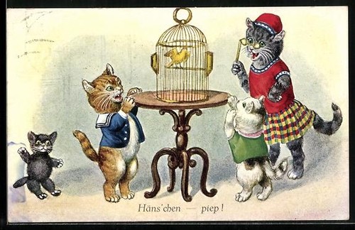 Carte postale canari - canari,, une