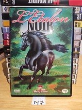 DVD - L' ÉTALON NOIR