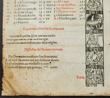 Planche pour Calendrier et Compost des bergers 1500-1510