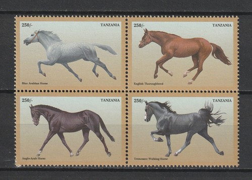 Théme cheval chevaux - théme,
