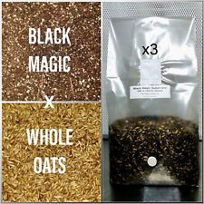 Premium Exotic Dung ALL-IN-ONE XL Mushroom Grow Kit 3 Pack Kit 6lbs Mixed Bag
