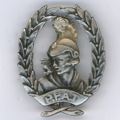 Insigne béret des pfat - insigne, de