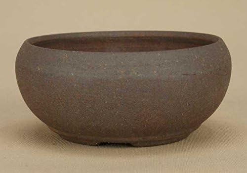 Iyojien bonsaï pot - bonsaï,