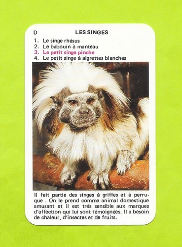 Carte les singes - carte,