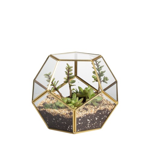 Terrarium forme de - en,