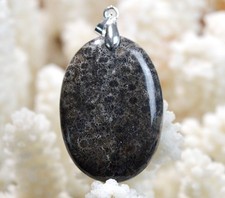 Corail fossile 40 carats -