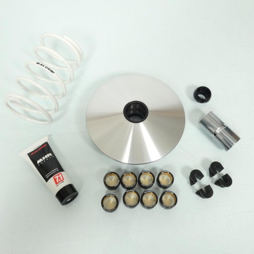 Variateur malossi pour scooter - pour,